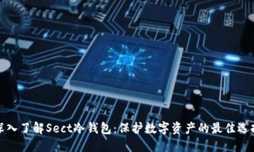 深入了解Sect冷钱包：保护数字资产的最佳选择