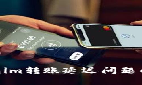 解决Tokenim转账延迟问题的实用指南