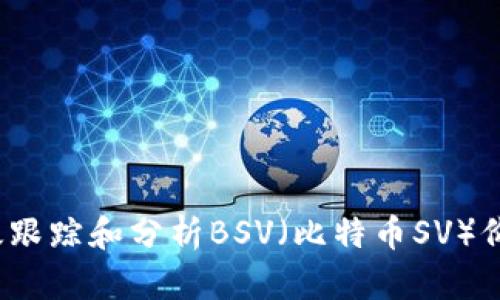 如何有效跟踪和分析BSV(比特币SV)价格波动?