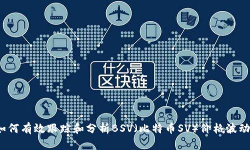 如何有效跟踪和分析BSV(比特币SV)价格波动?
