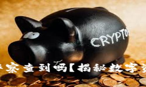 Tokenim钱包会被警察查到吗？揭秘数字资产背后的隐私法律