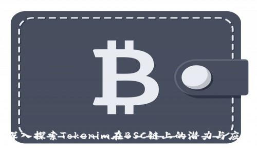 深入探索Tokenim在BSC链上的潜力与应用