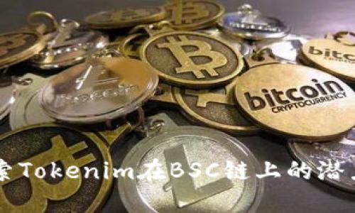 深入探索Tokenim在BSC链上的潜力与应用