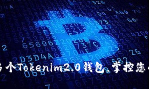 轻松创建多个Tokenim2.0钱包,掌控您的加密资产