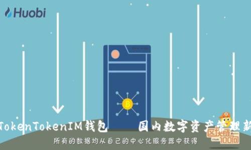探究TokenTokenIM钱包 – 国内数字资产管理新选择