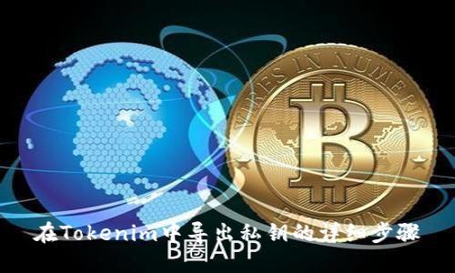 在Tokenim中导出私钥的详细步骤