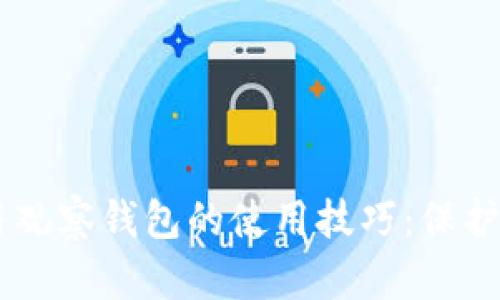 了解冷钱包与观察钱包的使用技巧:保护你的数字资产