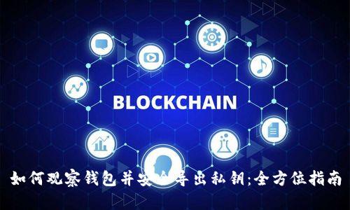 如何观察钱包并安全导出私钥:全方位指南