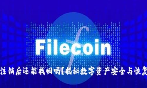 冷钱包注销后还能找回吗?揭秘数字资产安全与恢复的真相