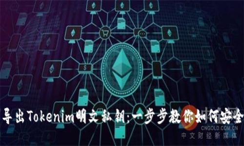 轻松导出Tokenim明文私钥:一步步教你如何安全操作