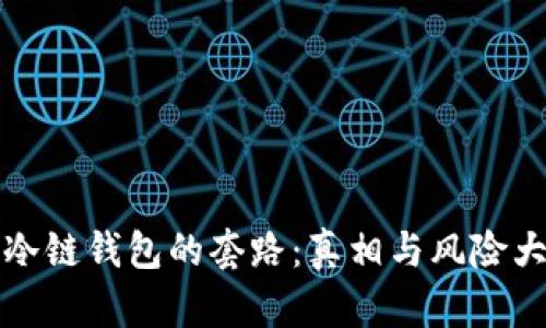 揭秘冷链钱包的套路：真相与风险大解析