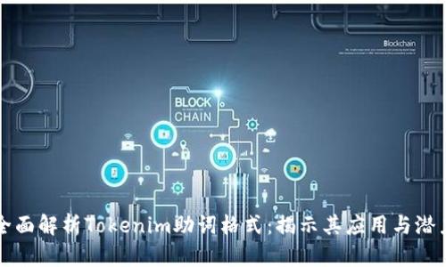 全面解析Tokenim助词格式:揭示其应用与潜力