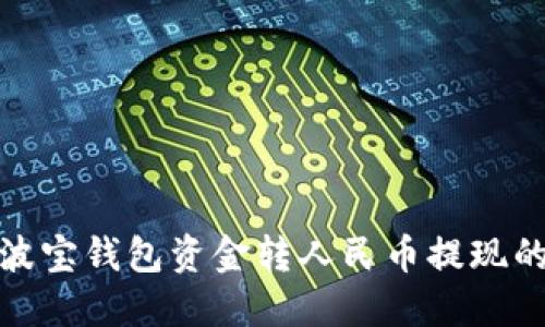 轻松掌握波宝钱包资金转人民币提现的实用攻略