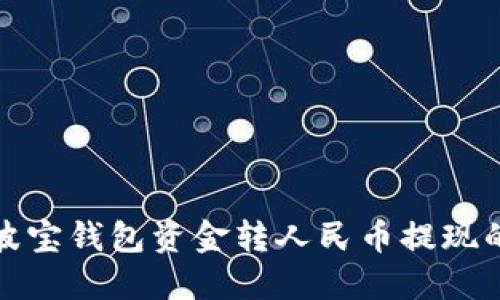 轻松掌握波宝钱包资金转人民币提现的实用攻略