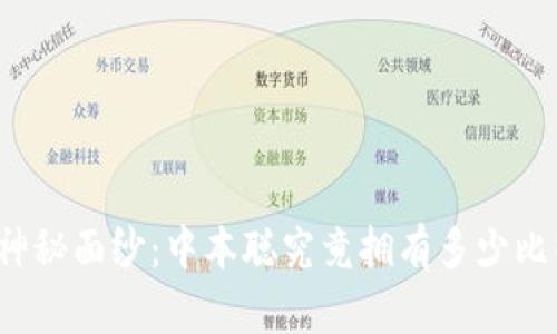 揭开神秘面纱:中本聪究竟拥有多少比特币?