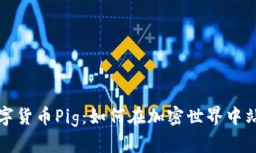 揭秘数字货币Pig:如何在加密世界中站稳脚跟