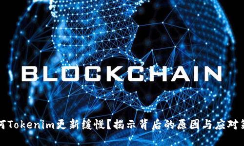 为何Tokenim更新缓慢？揭示背后的原因与应对策略
