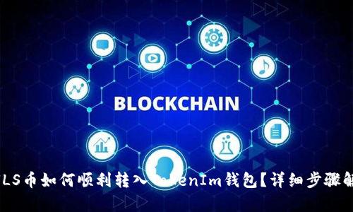 NULS币如何顺利转入TokenIm钱包?详细步骤解析