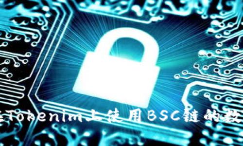 如何在Tokenim上使用BSC链的数字货币