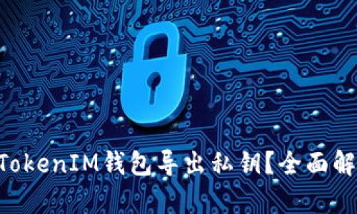 什么是TokenTokenIM钱包导出私钥？全面解析与实用指南