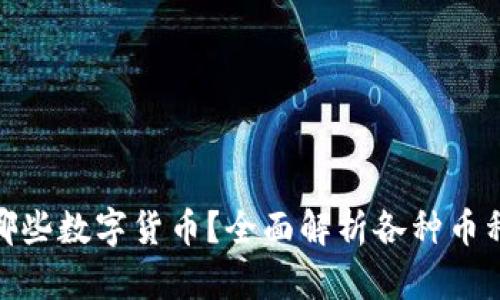 冷钱包支持哪些数字货币?全面解析各种币种的安全存储