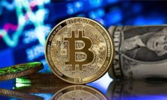 揭秘：冷钱包转账失败的五大原因及解决方案