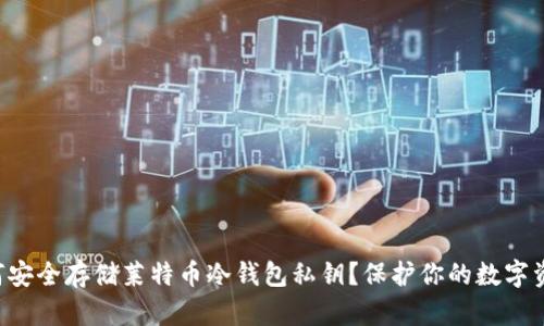 如何安全存储莱特币冷钱包私钥?保护你的数字资产!