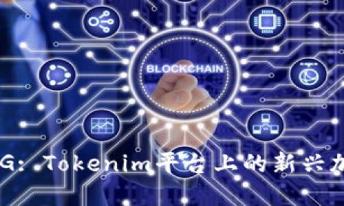 探索NYG: Tokenim平台上的新兴加密货币