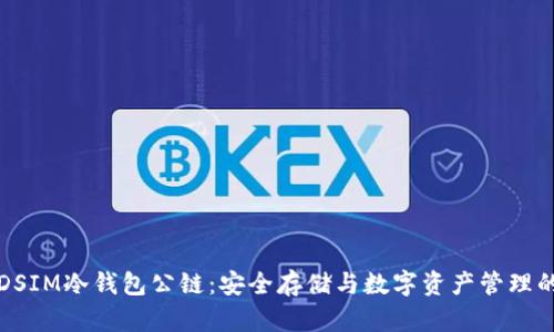探索DSIM冷钱包公链:安全存储与数字资产管理的未来