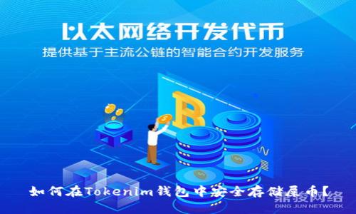 如何在Tokenim钱包中安全存储屎币?