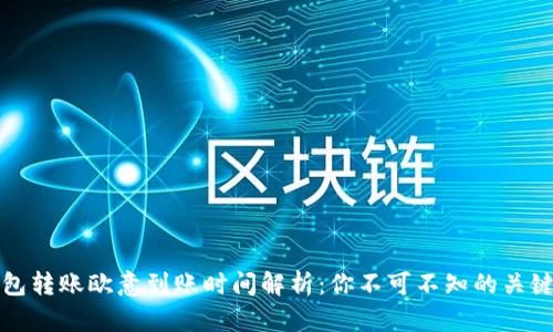 冷钱包转账欧意到账时间解析:你不可不知的关键因素