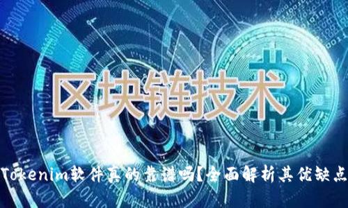 Tokenim软件真的靠谱吗?全面解析其优缺点