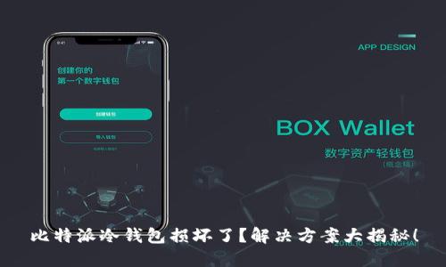 比特派冷钱包损坏了?解决方案大揭秘!
