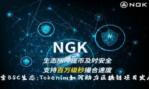 探索BSC生态：Tokenim如何助力区块链项目发展？