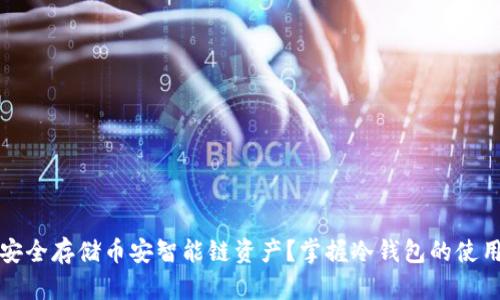 如何安全存储币安智能链资产?掌握冷钱包的使用技巧