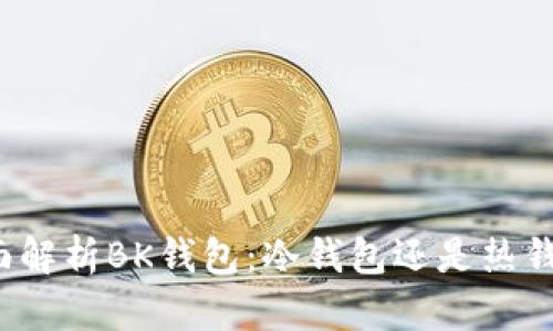 全面解析BK钱包:冷钱包还是热钱包?