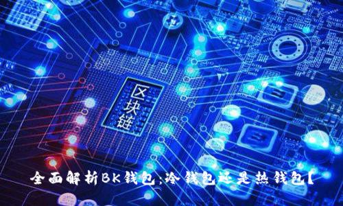 全面解析BK钱包:冷钱包还是热钱包?