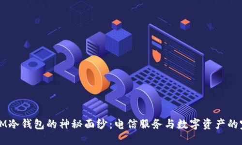 揭开DSIM冷钱包的神秘面纱：电信服务与数字资产的完美结合