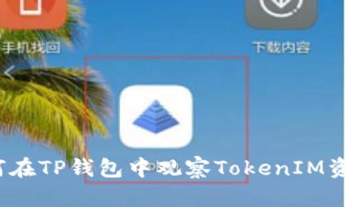 如何在TP钱包中观察TokenIM资产？