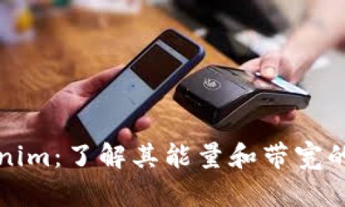 解密Tokenim：了解其能量和带宽的背后含义