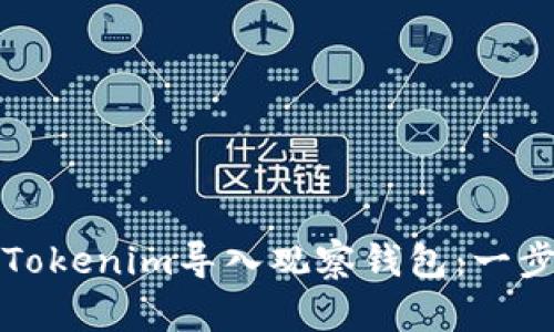 如何使用Tokenim导入观察钱包：一步一步指南