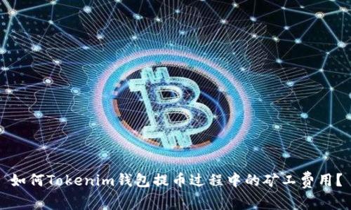 如何Tokenim钱包提币过程中的矿工费用？