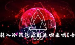 USDT转入冷钱包后能追回来吗？全解析！