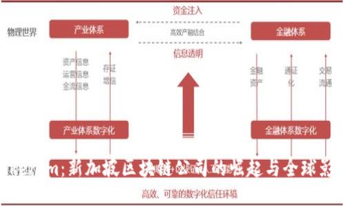 Tokenim：新加坡区块链公司的崛起与全球影响