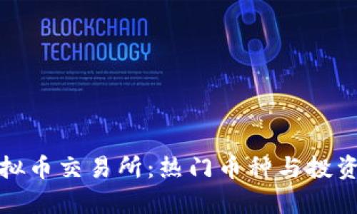 探索香港虚拟币交易所：热门币种与投资机会全解析