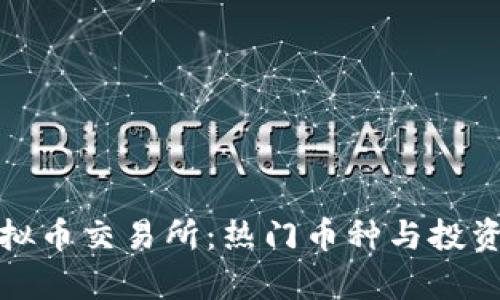 探索香港虚拟币交易所：热门币种与投资机会全解析