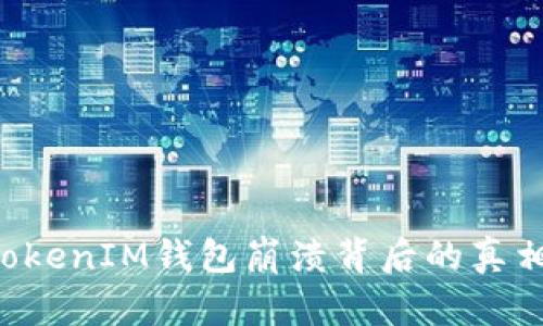探寻TokenTokenIM钱包崩溃背后的真相与应对策略