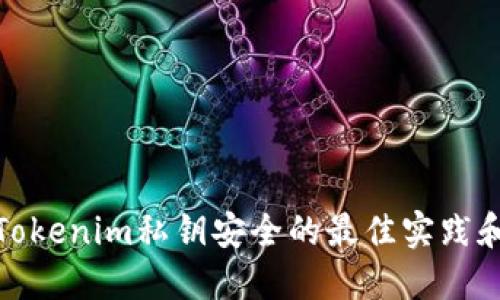 确保Tokenim私钥安全的最佳实践和建议