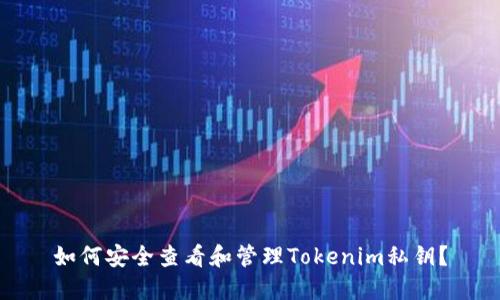 如何安全查看和管理Tokenim私钥？