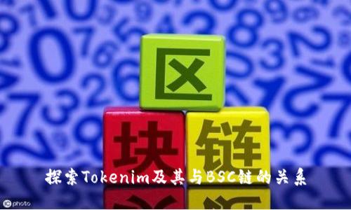 探索Tokenim及其与BSC链的关系